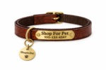 Personalized Dog Collar with Engraved Nameplate, Brown
