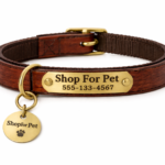 Personalized Dog Collar with Engraved Nameplate, Brown