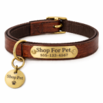 Personalized Dog Collar with Engraved Nameplate, Brown - Image 2